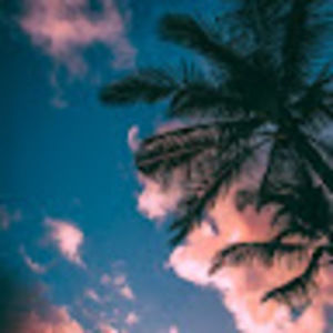 Meet your Posher, Jon